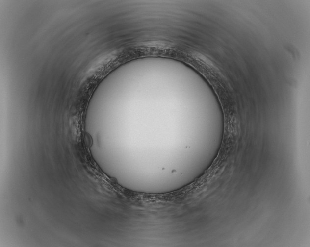 X0000113360774200909291029