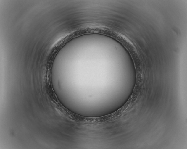 X0000113360775200909291029