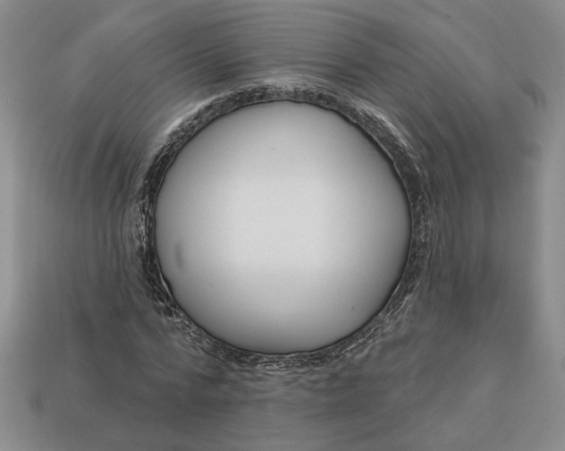 X0000113360776200909291029