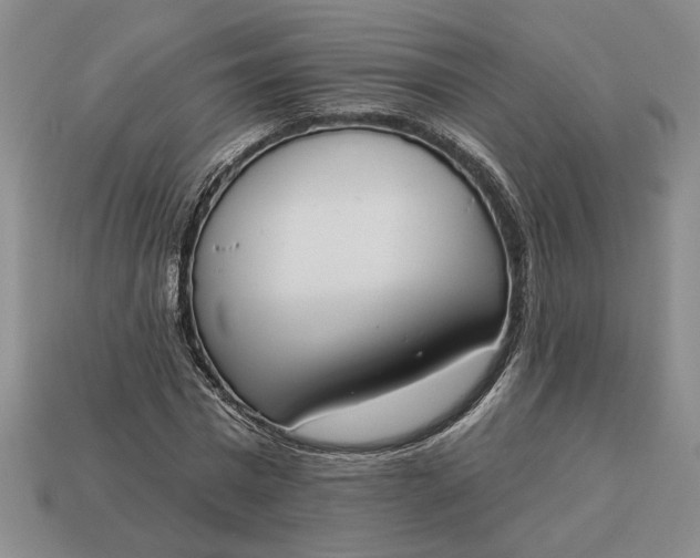 X0000113360777200909291029