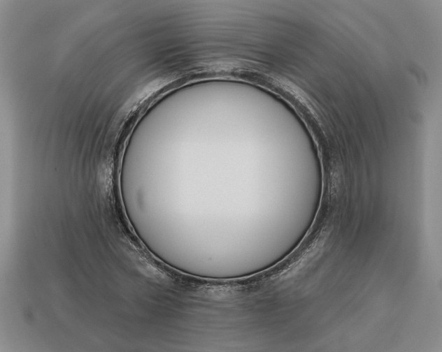 X0000113360778200909291029