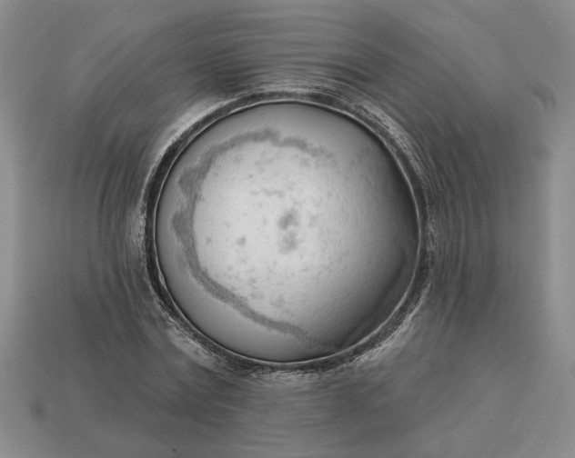 X0000113360779200909291029