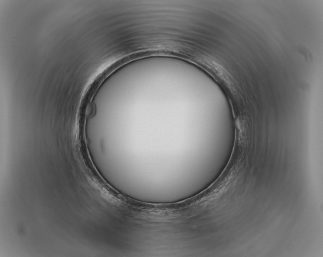 X0000113360780200909291029