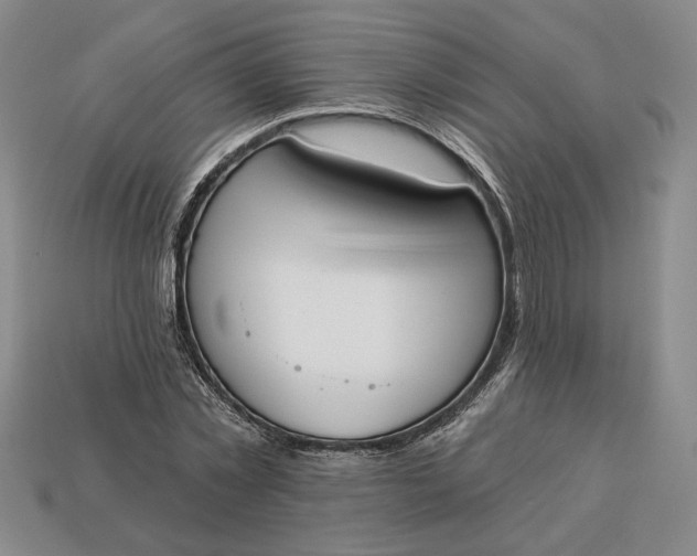 X0000113360781200909291029