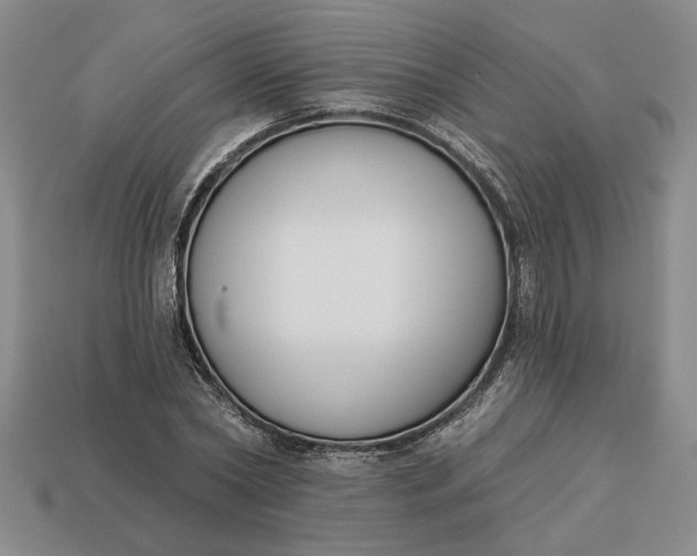 X0000113360782200909291029