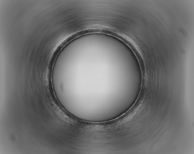 X0000113360783200909291029