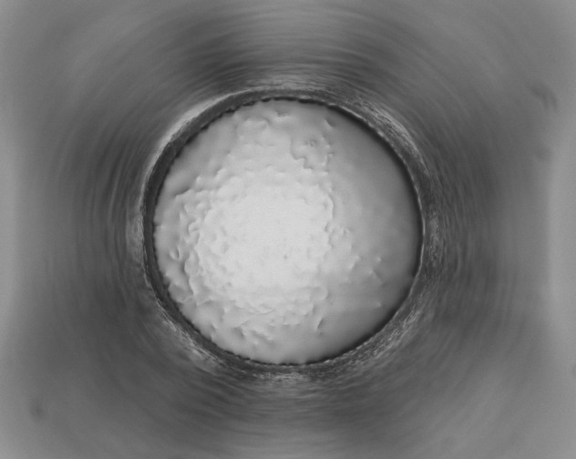 X0000113360784200909291029