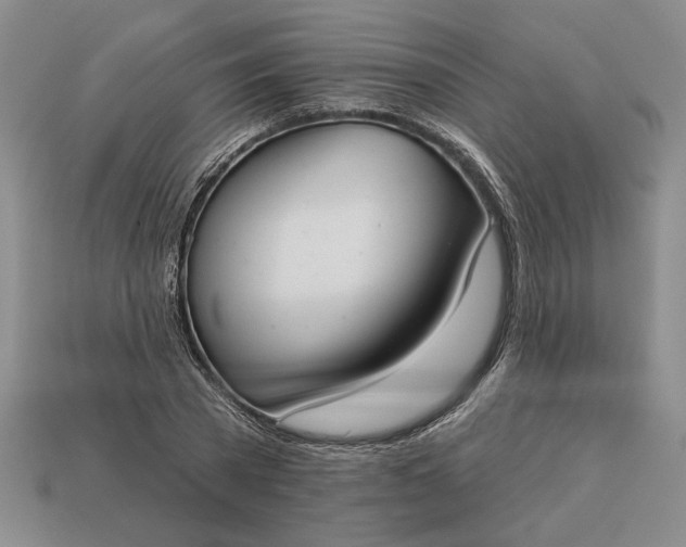 X0000113360785200909291029