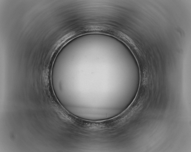 X0000113360786200909291029