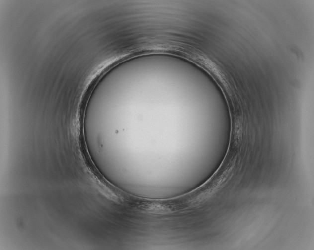 X0000113360787200909291029