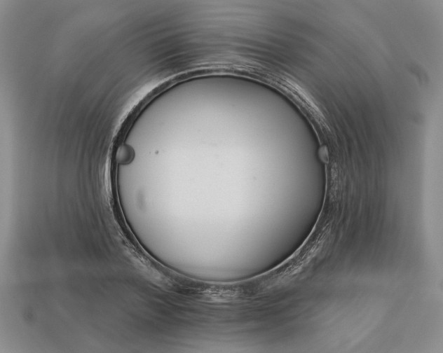 X0000113360788200909291029