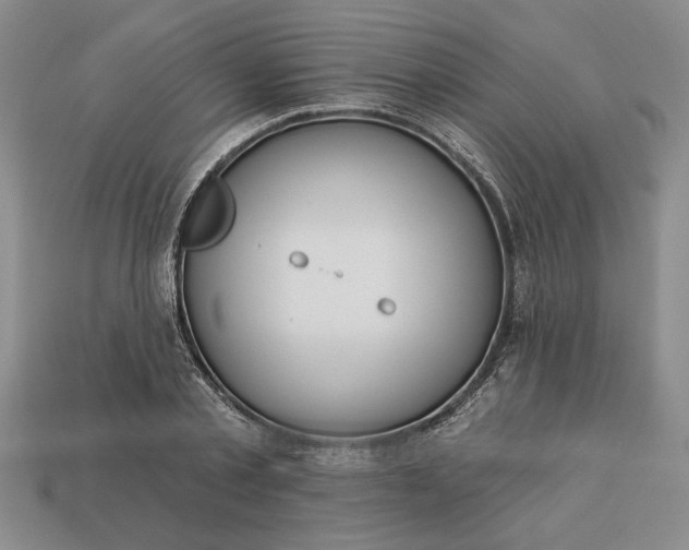 X0000113360789200909291029