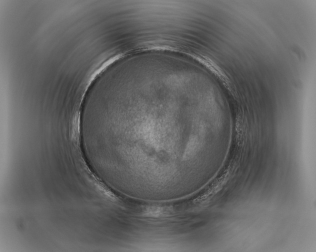 X0000113360790200909291029