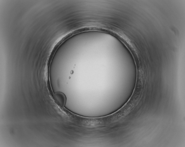 X0000113360791200909291029