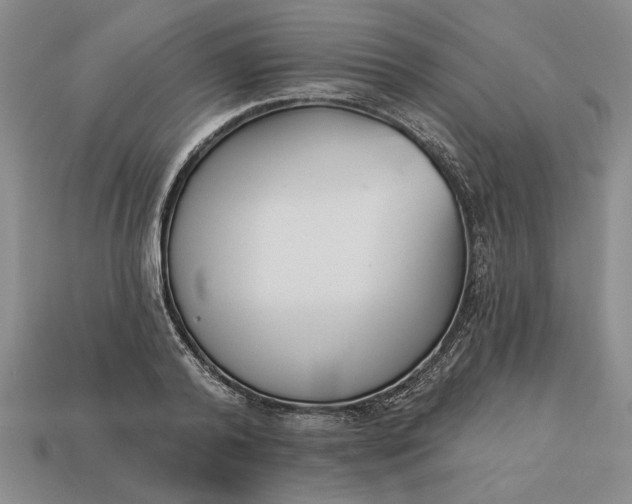 X0000113360792200909291029