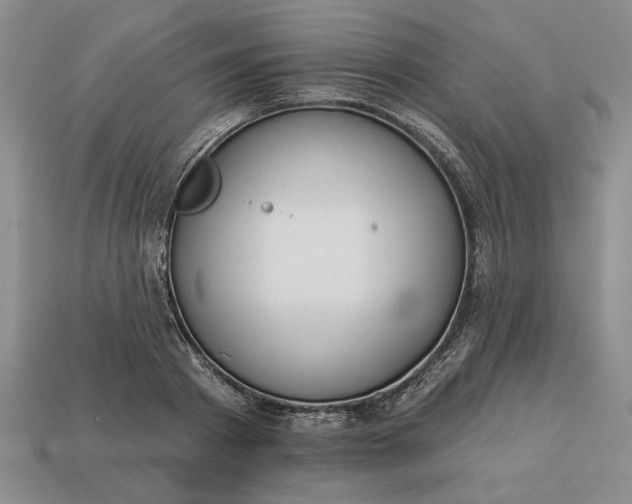 X0000113360793200909291029