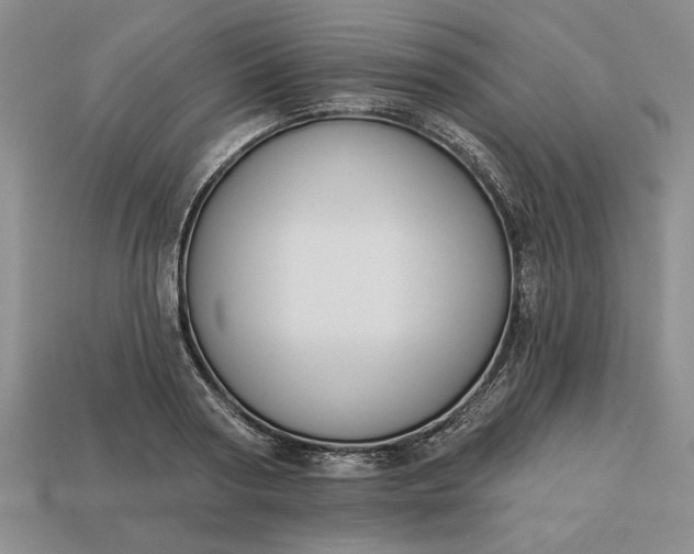 X0000113360794200909291029