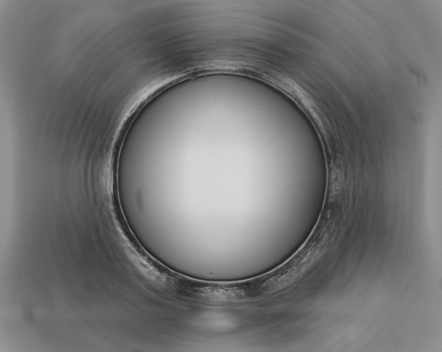 X0000113360795200909291029