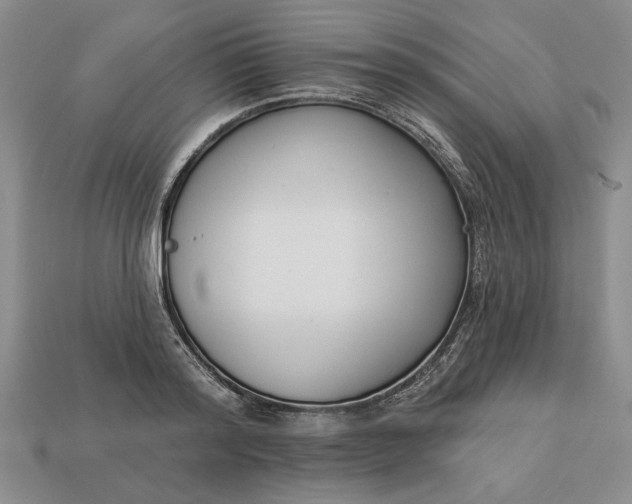 X0000113360796200909291029