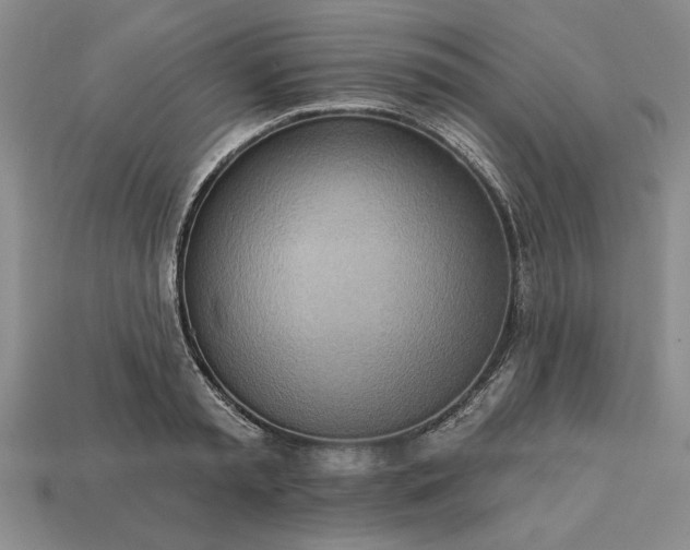 X0000113360797200909291029