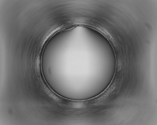 X0000113360798200909291029