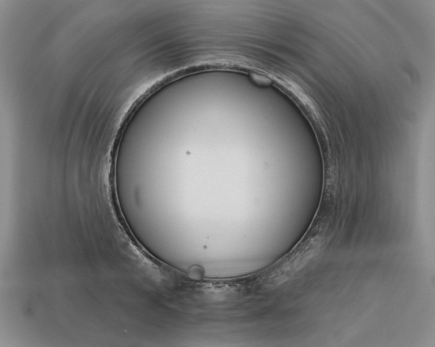 X0000113360799200909291029