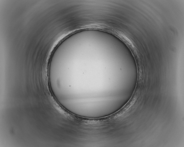 X0000113360800200909291029