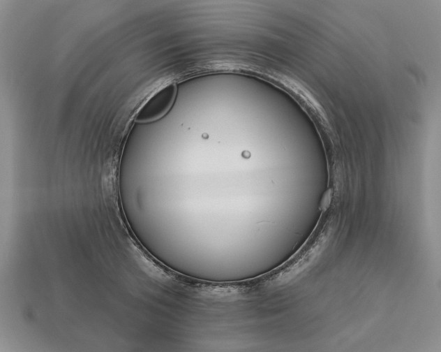 X0000113360801200909291029