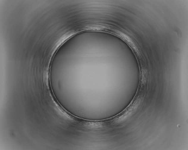 X0000113360802200909291029