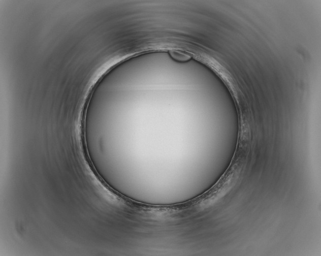 X0000113360803200909291029