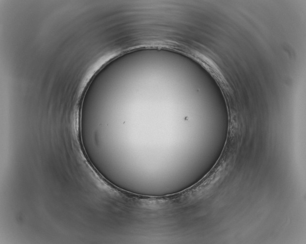 X0000113360804200909291029