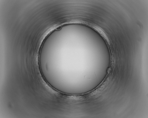 X0000113360805200909291029