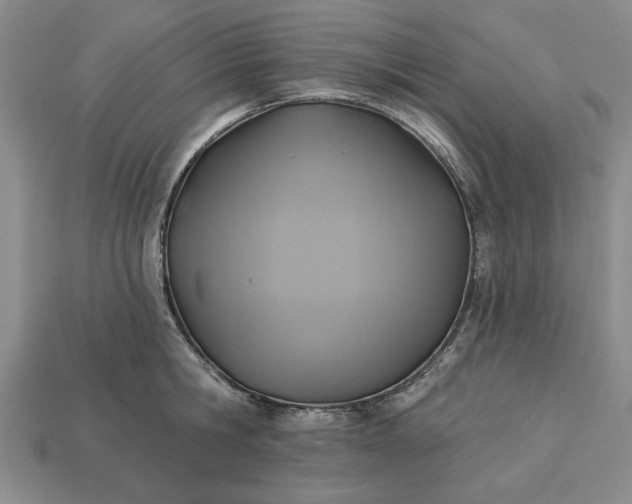 X0000113360806200909291029