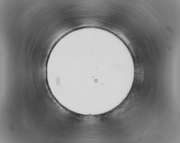 X0000113360807200909291029