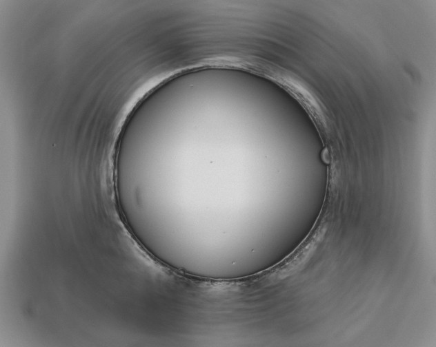 X0000113360808200909291029