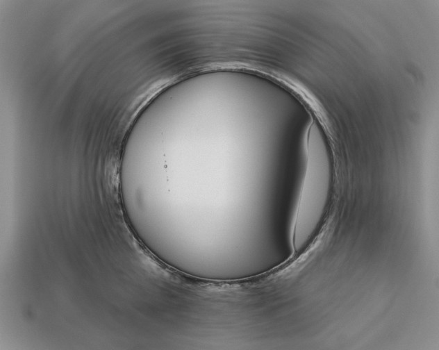 X0000113360809200909291029