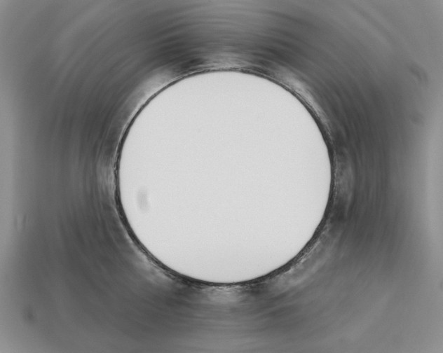 X0000113360810200909291029