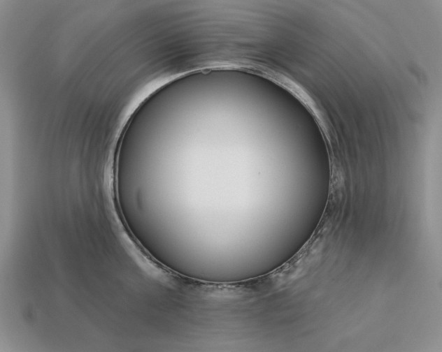 X0000113360811200909291029