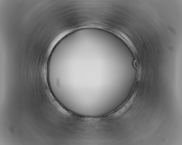 X0000113360812200909291029