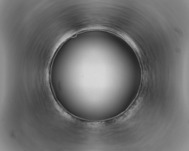 X0000113360813200909291029