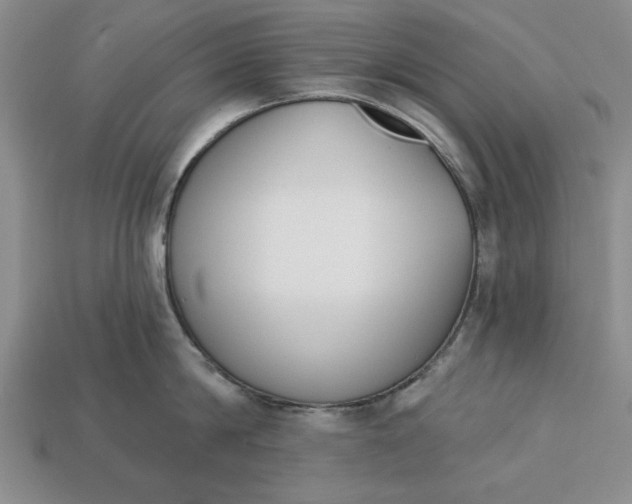 X0000113360814200909291029