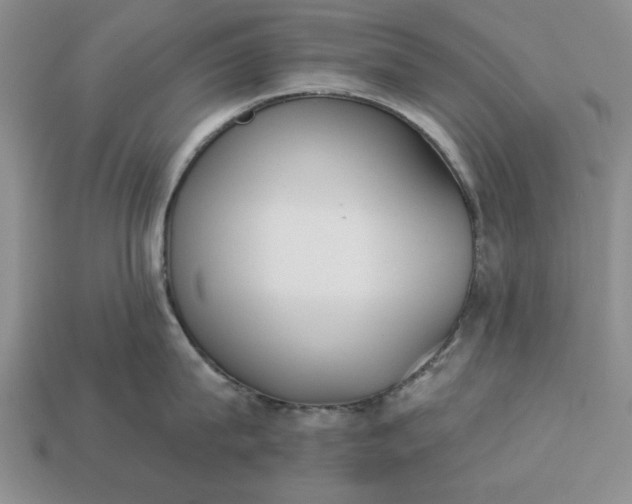 X0000113360815200909291029