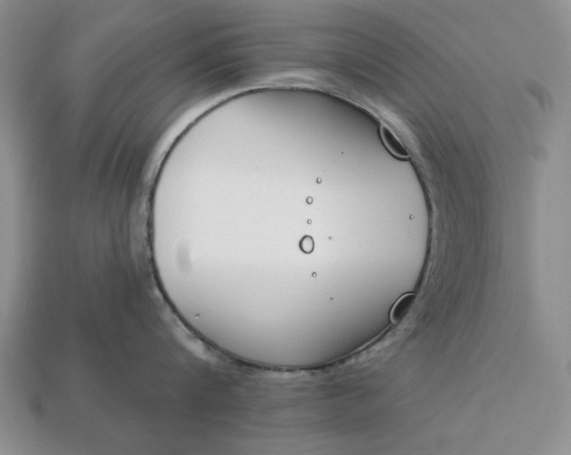 X0000113360816200909291029