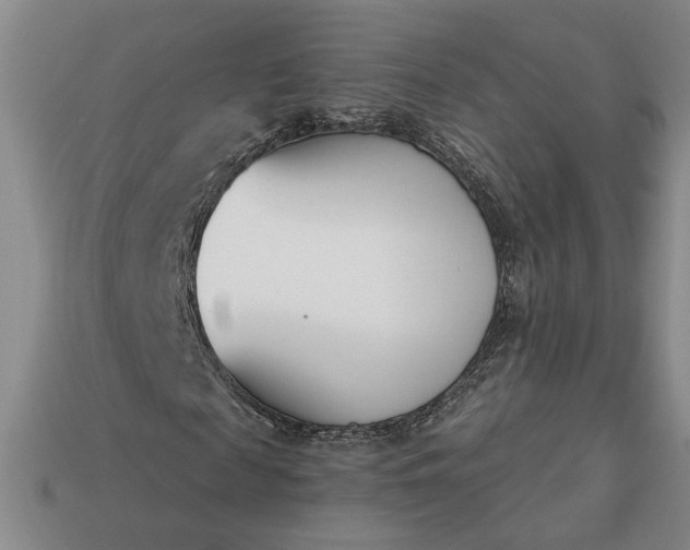 X0000113360817200909291028