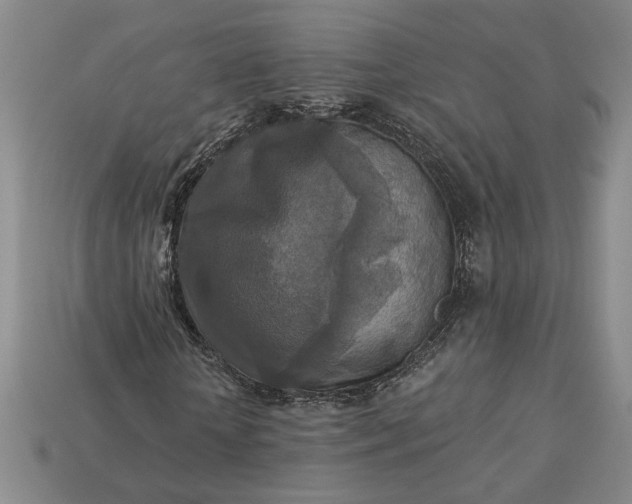 X0000113360818200909291028