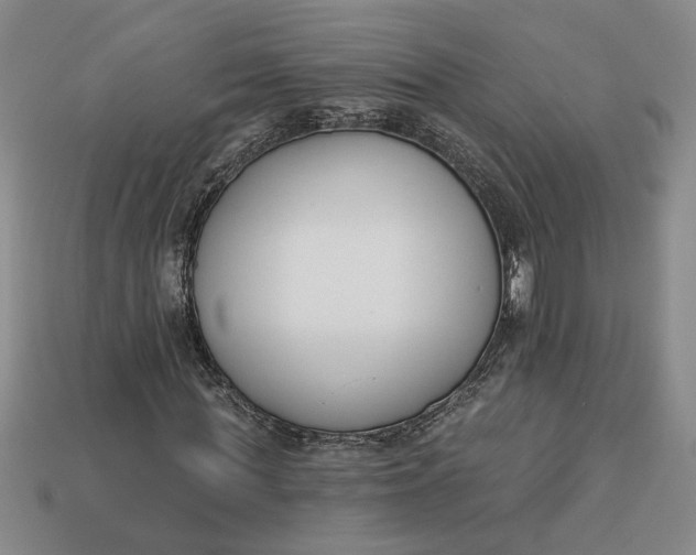 X0000113360819200909291028