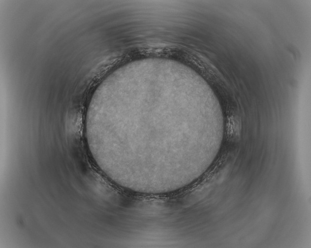 X0000113360820200909291028