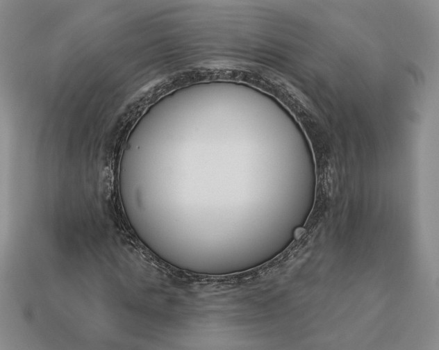 X0000113360821200909291028