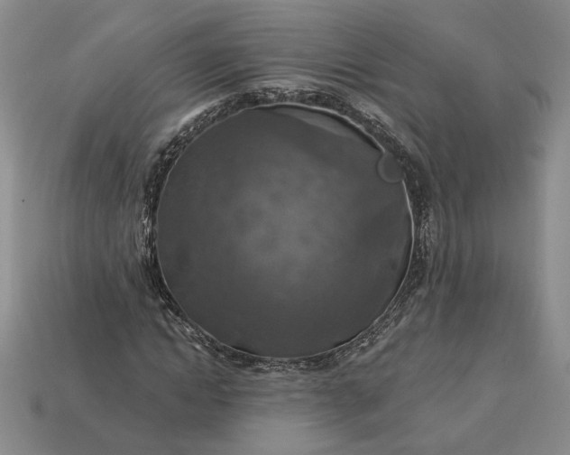 X0000113360822200909291028