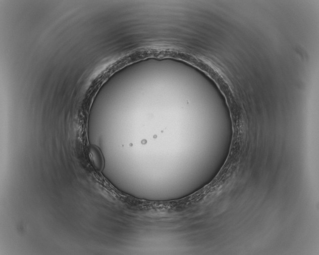 X0000113360823200909291028